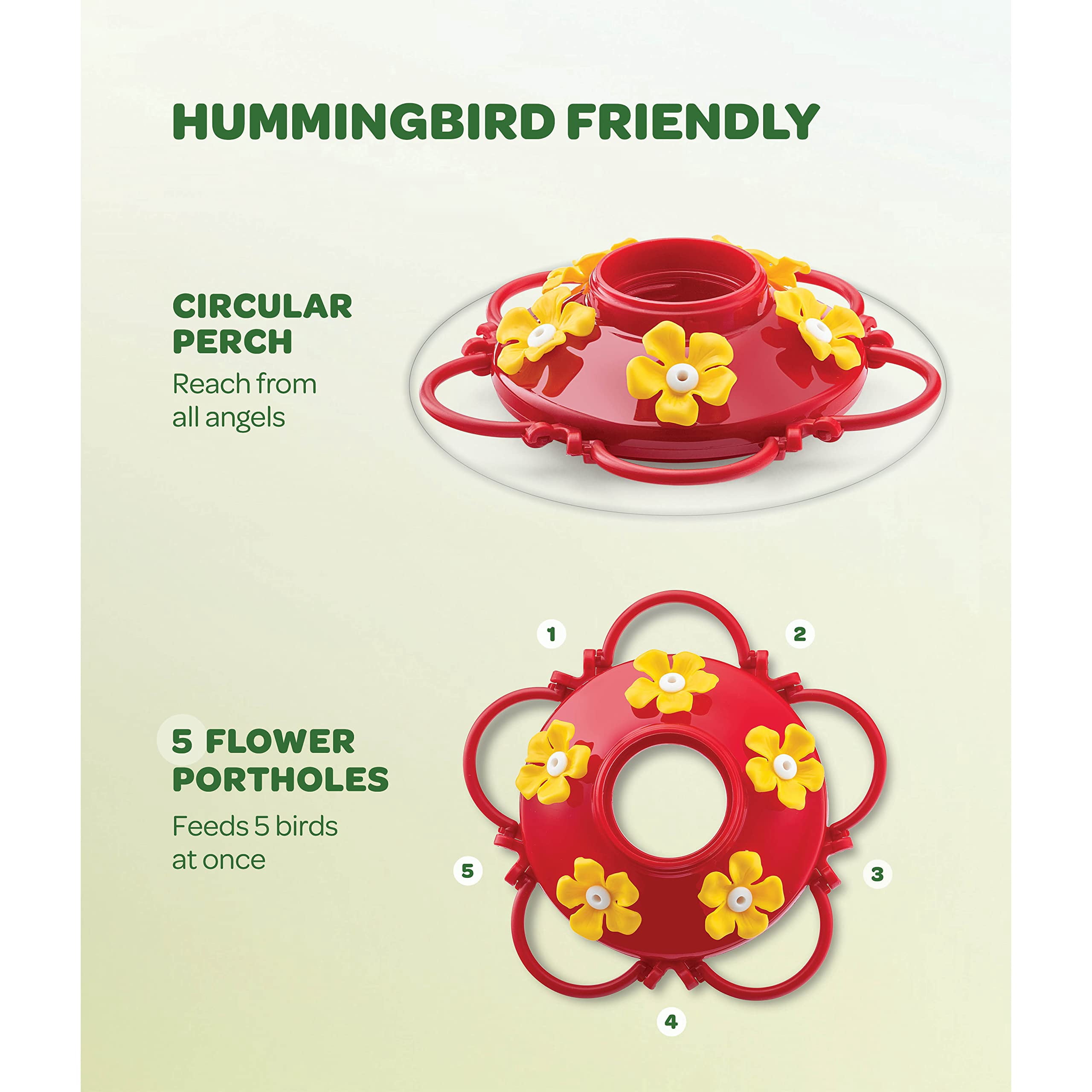 Glass Hummingbird Feeders 10 oz 2 Pack Outdoor Use