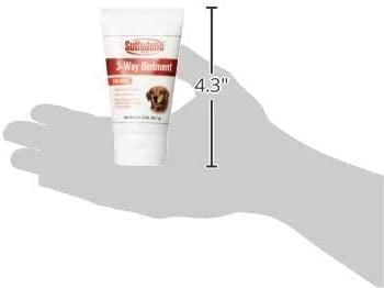 Sulfodene Dog Wound Care Ointment, Relieves Pain & Prevents Infection For Dog Cuts, Scrapes, Bites and Injuries, 2 Ounce