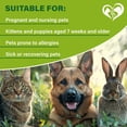 thumbnail image 6 of Flea and Tick Prevention for Small Dogs & Cats, Rabbits - Natural Flea Treatment & Pest Control - Topical Flea & Mosquito Repellent for Puppy and Kitten - All Pets, 6 of 8
