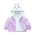 thumbnail image 2 of Spazoro Toddlers Girls Outwear Jackets, Cute Winter Hooded Casual Warm Coats for Girls Purple Size 100/18 Months, 2 of 4