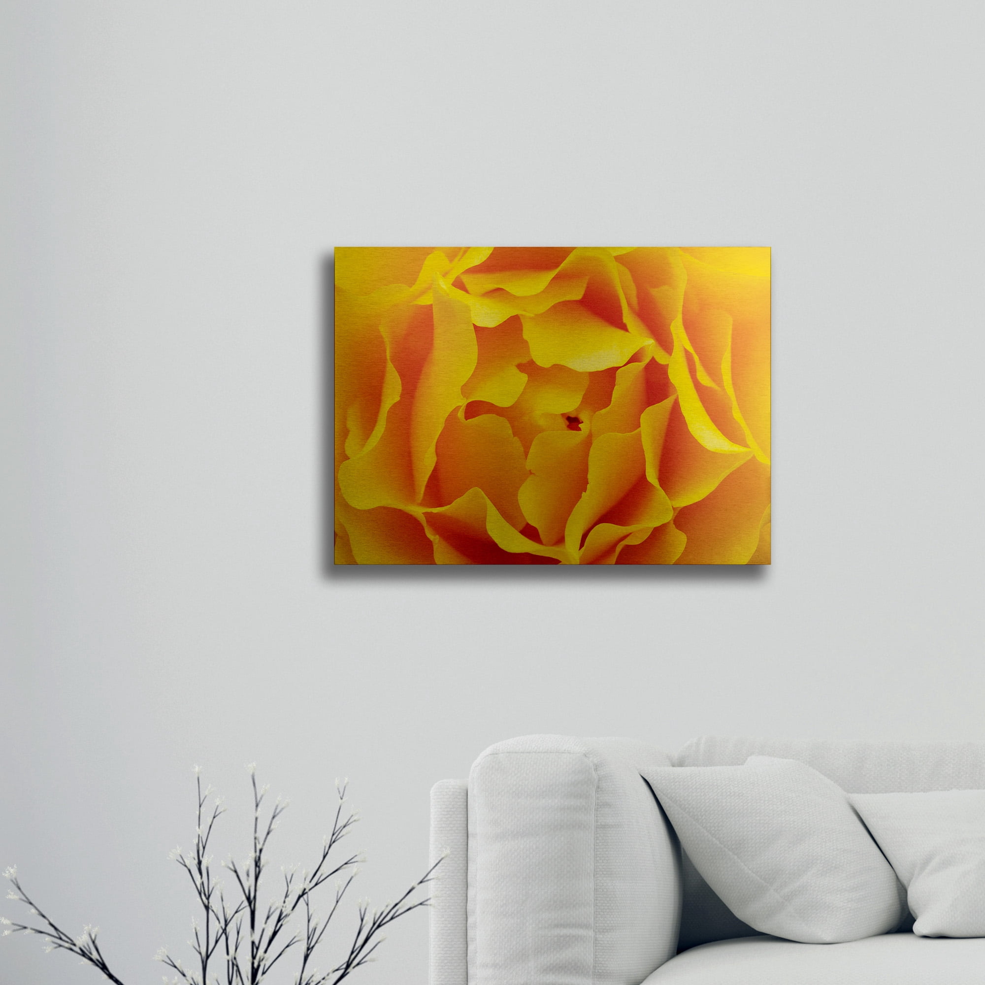 Trademark Fine Art 'Hypnotic Yellow Rose by Kurt Shaffer-Gallery Wrapped 36x47' Brushed Aluminum Wall Art Art by Kurt Shaffer