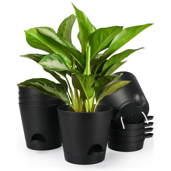 Indoor Planter Pots Drainage