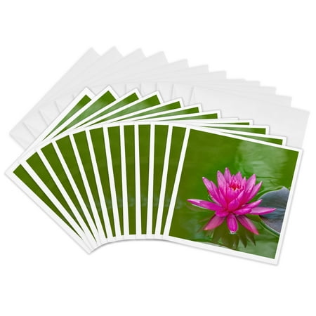 3drose, Miss Siam Nymphaea, Vizcaya Museum and Gardens, Miami, Florida., 12 Greeting Cards with Envelopes