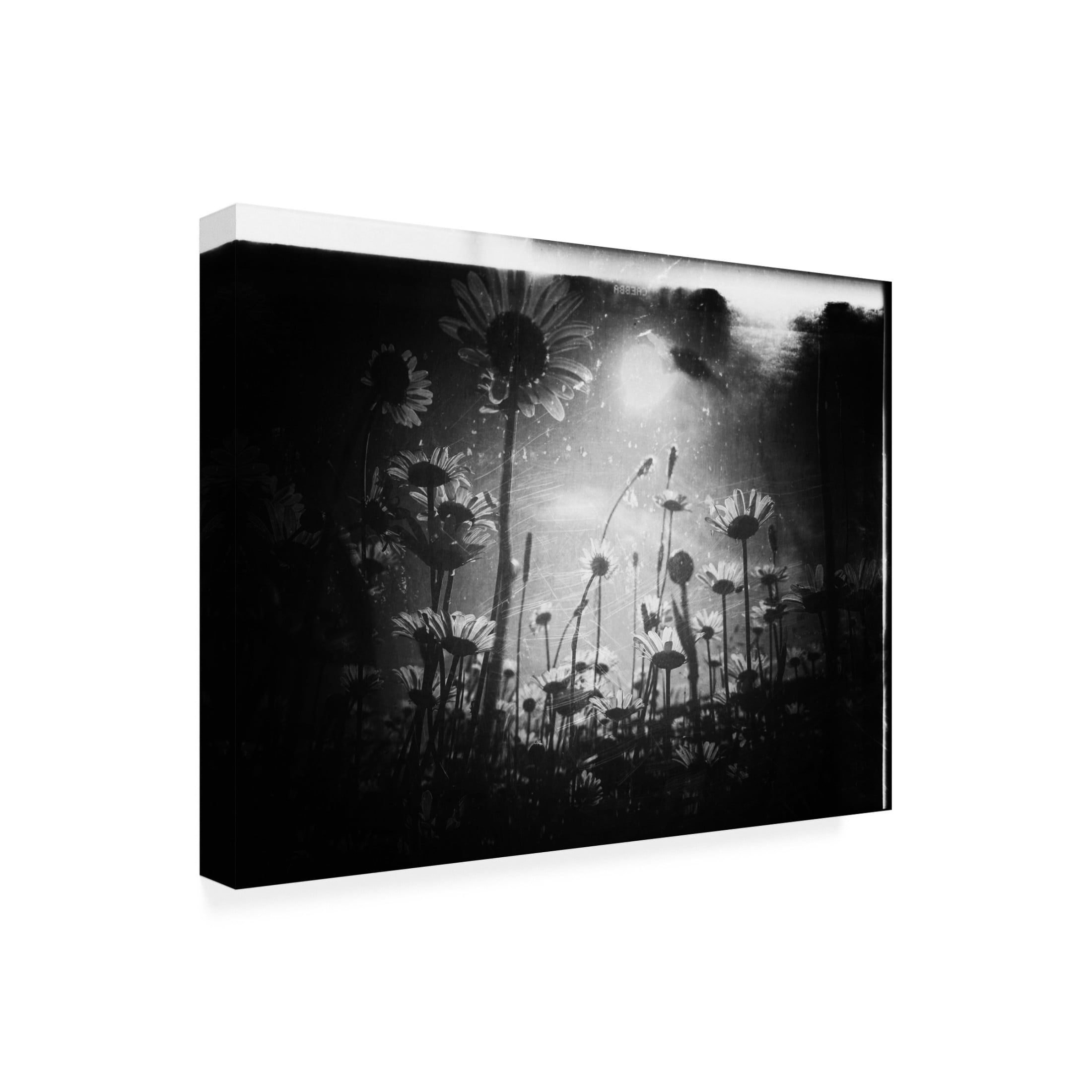 Trademark Fine Art Delphine Margau There Is Always A Piece Of Sky Canvas Wall Art