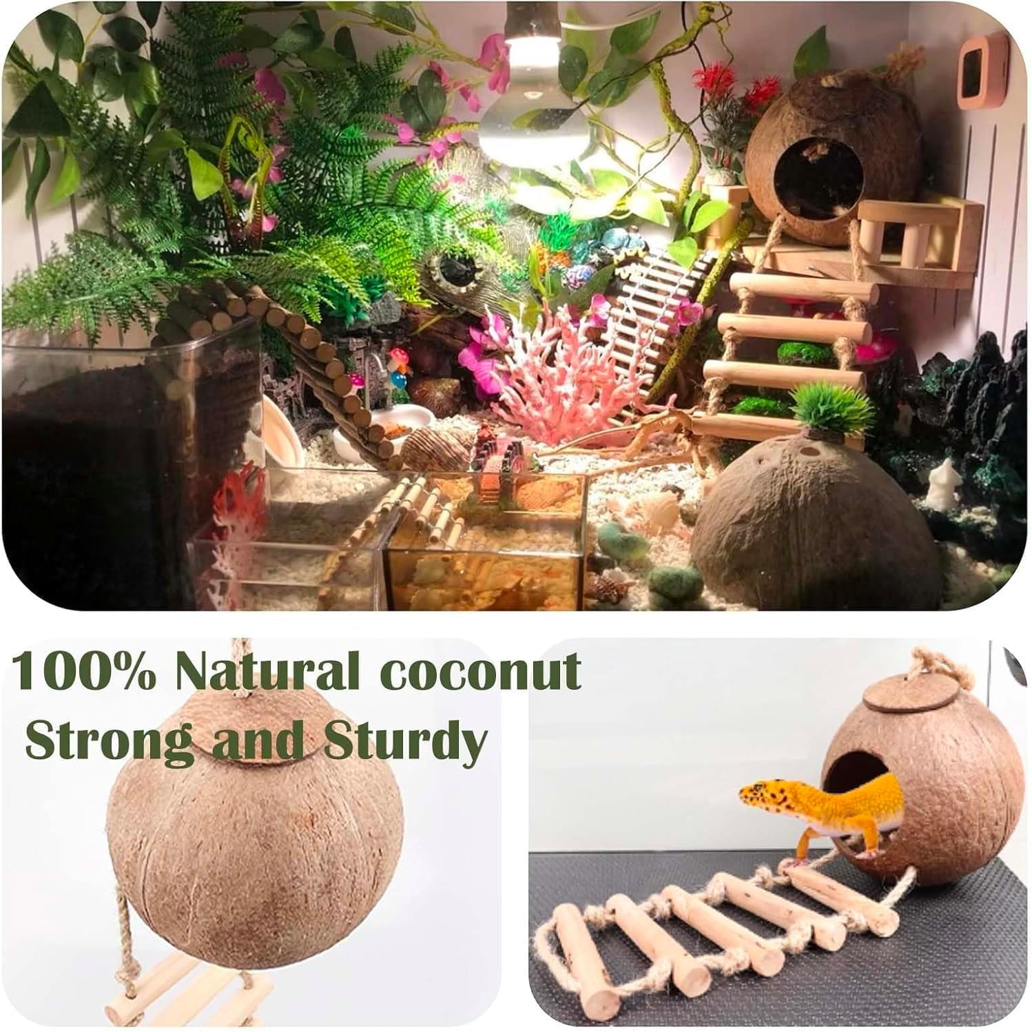 Leopard Gecko Tank Accessories. Reptile Hammock Vines Plants with Coconut Shell Ladder Hideout Decor for Bearded Dragon Lizard Chameleon Crested Gecko Tortoise Snake