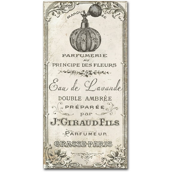 Trademark Fine Art "Signes Francais II" Canvas Art by Color Bakery