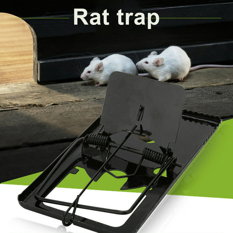 Mouse Trap, Rat Traps