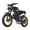 GT20-Black, variant on COSWHEEL GT20 PRO 4000W Electric Dirt Bike for Adults, 30+mph EBike with Dual Motor, 48V 25Ah+15Ah Removable Battery, 20"x4.0 Tires, Hydraulic Brakes, UL2849
