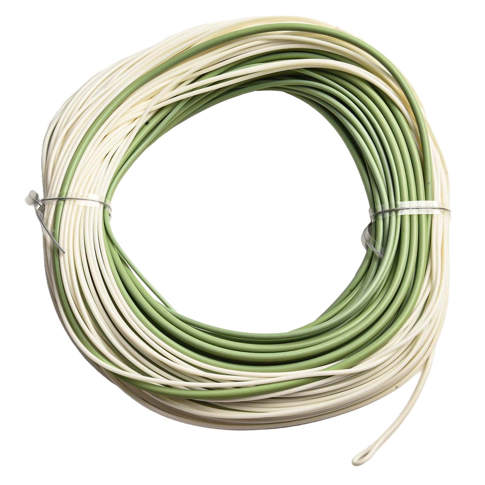 Fly Fishing Sea Main Line Outbound Short Fly Saltwater Fishing Line 100ft WF6F-WF10F Green/Cream
