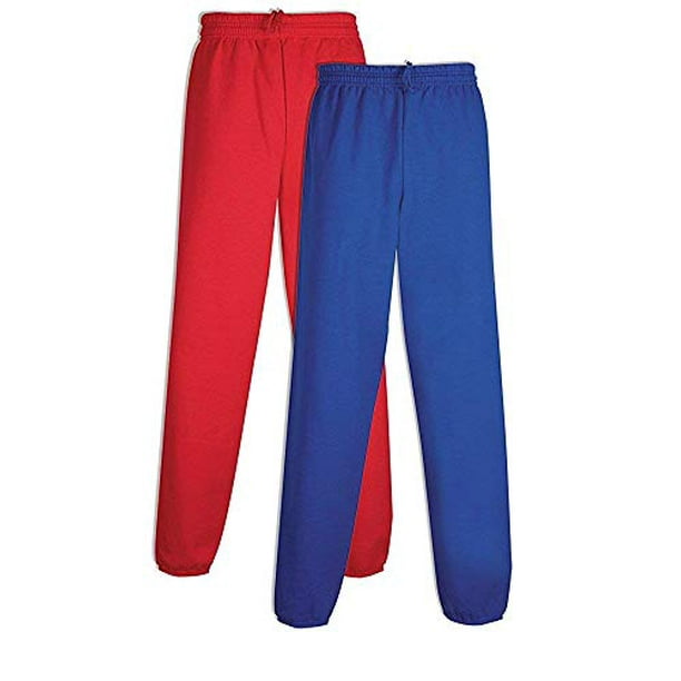 hanes men's ecosmart fleece sweatpant with pockets