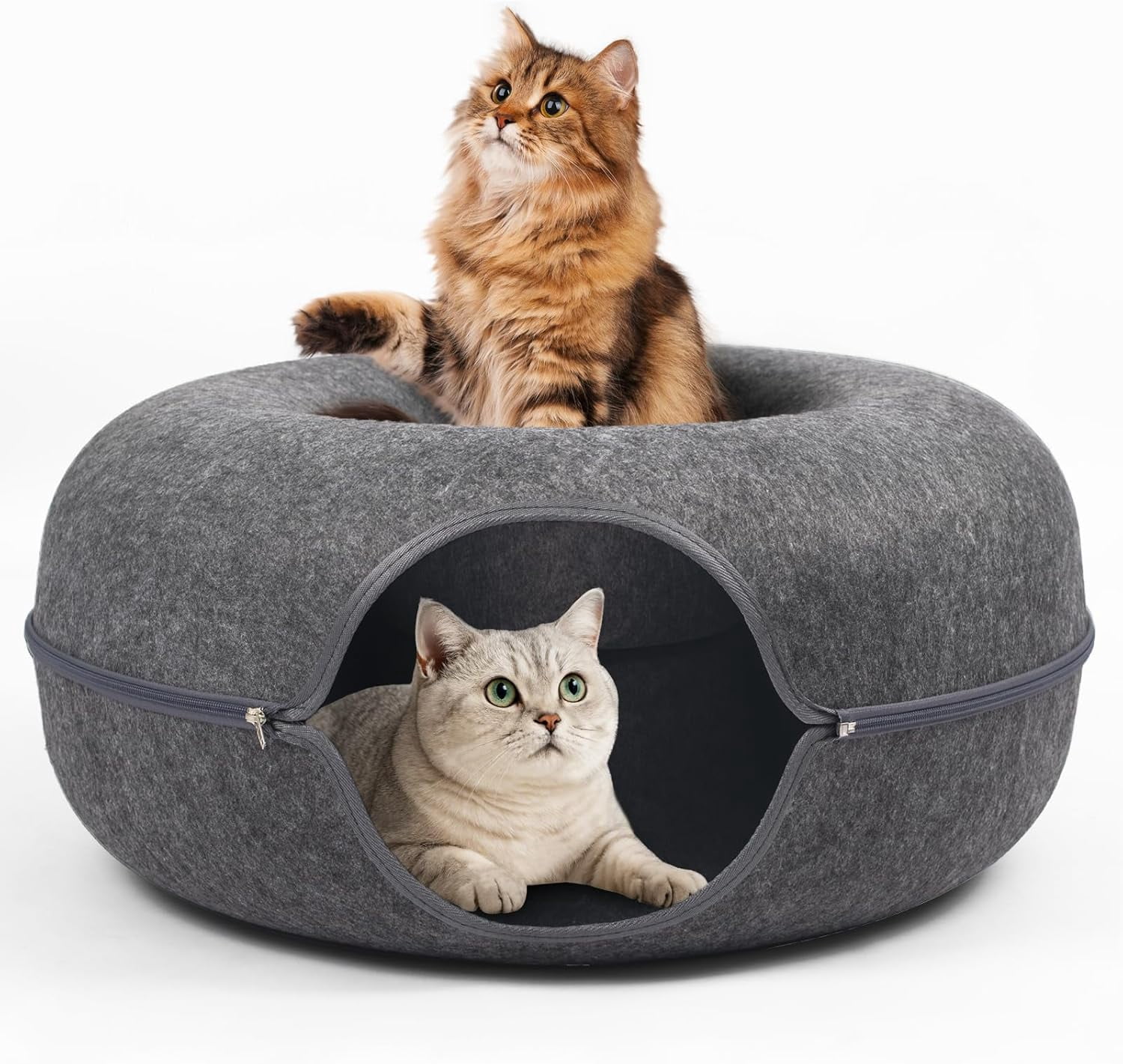 Cat Caves for Indoor Cats, Large Cat Tunnel for Multiple & Large Cats, Scratch Detachable Peekaboo Cat Cave Bed, Kitten Donut Kitty Hideaway Up to 45 Lbs : Pet Supplies