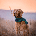 thumbnail image 5 of Apuakthei Abrigo de invierno para perros a cuadros de estilo británico, resistente al viento, repelente al agua, acogedor abrigo para perros para clima frío, forro polar, ropa para perros, chaqueta, 5 of 5