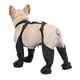 thumbnail image 2 of Zapatos para Perros Protectores de Patas de Perro Impermeables a Prueba de Suciedad con Tirantes Botines de Lluvia para Perros Antideslizantes para Invierno Nieve al Aire Libre,L, 2 of 10