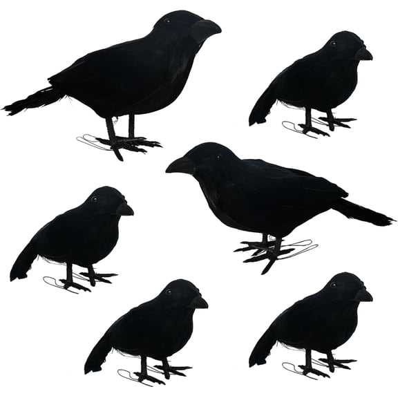 6 Pack Halloween Black Feathered Crows, 5.7" & 8.7" Realistic Feathered Black Birds Raven, Halloween Decoration for Indoor Outdoor Home Yard Garden Party Decor
