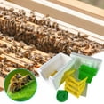 thumbnail image 4 of Simple Beekeeping Bee Queen Breeding Mating Nuc Harvest Pollination Hive Box H9, 4 of 8