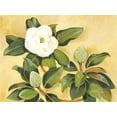thumbnail image 2 of Taylor, Kris 32x25 Black Ornate Wood Framed with Double Matting Museum Art Print Titled - Southern Magnolia II, 2 of 4