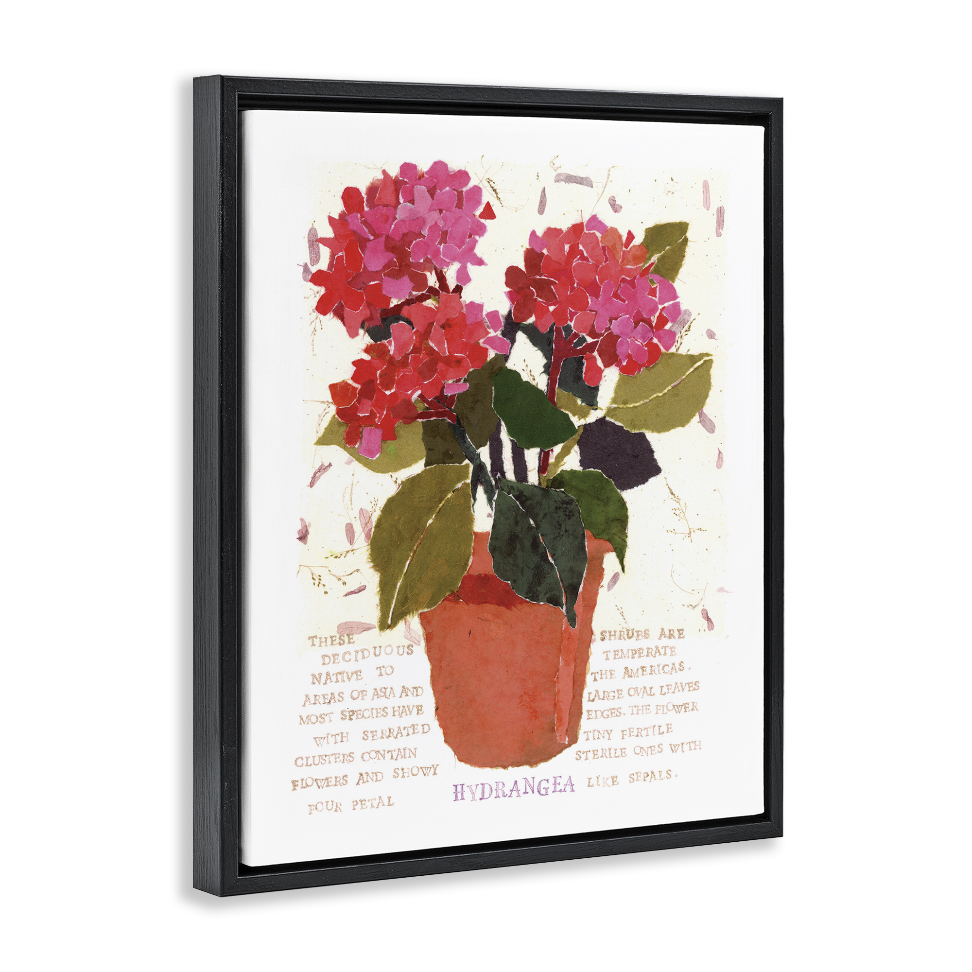 Stupell Industries Bold Red Hydrangea Botanical & Floral Painting Black Floater Framed Art Print Wall Art, 25 x 31