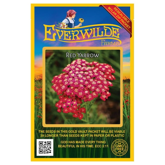 Everwilde Farms - 2000 Red Yarrow Wildflower Seeds - Gold Vault Seed Packet