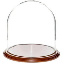 Plymor 11.75" x 12" Glass Display Dome Cloche (Walnut Veneer Base)