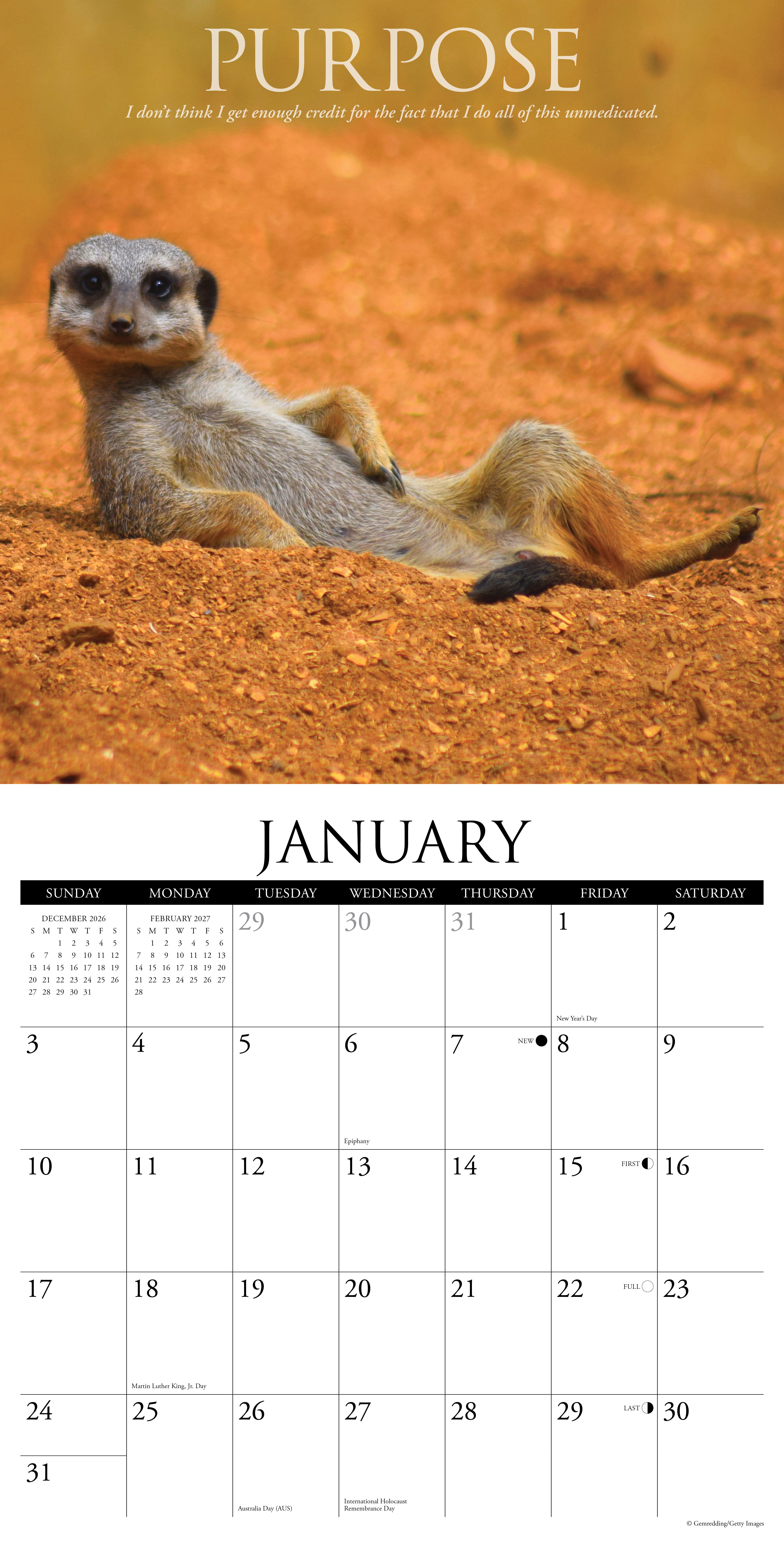 Willow Creek Press, Demotivationals 2027 Wall Calendar