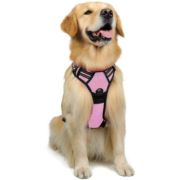 Rabbitgoo Dog Harness Sizing Chart Best Picture Of Chart