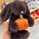 thumbnail image 2 of Jellycat stuffed Toy | Snow Doll | Bedtime Friend Christmas Gifts for Girls Boys Kids Children, 2 of 9