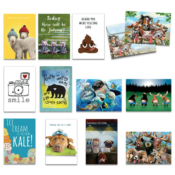 Tree-Free Greetings 12-Pack Greeting Card Humor Assortment with Matching Envelopes for Thank You and Birthday Cards (GP39214)