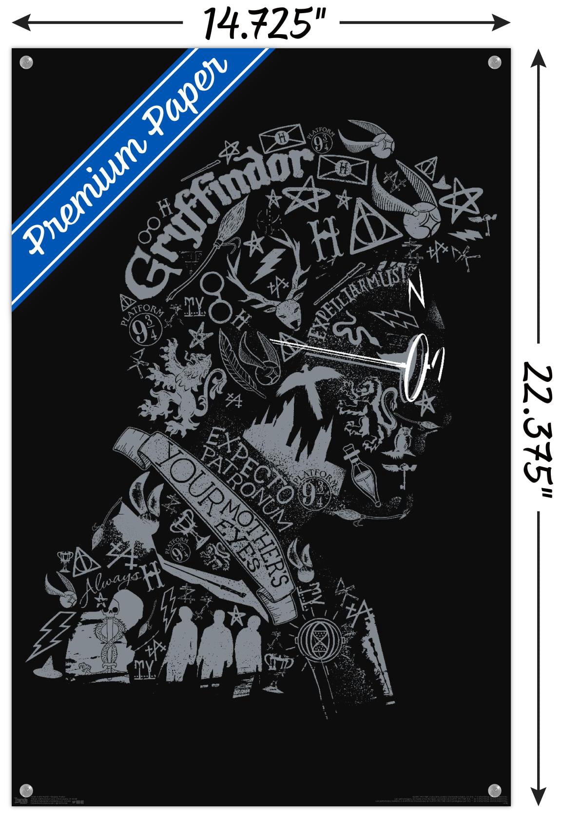 The Wizarding World: Harry Potter - Text Graphic of Harry Potter Wall Poster with Push Pins, 14.725" x 22.375"