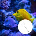 thumbnail image 4 of HEALEEP Red De Para Acuario Con Mango De Metal Y Malla Resistente, 4 of 8