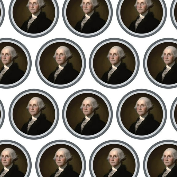 George Washington Portrait Premium Gift Wrap Wrapping Paper Roll