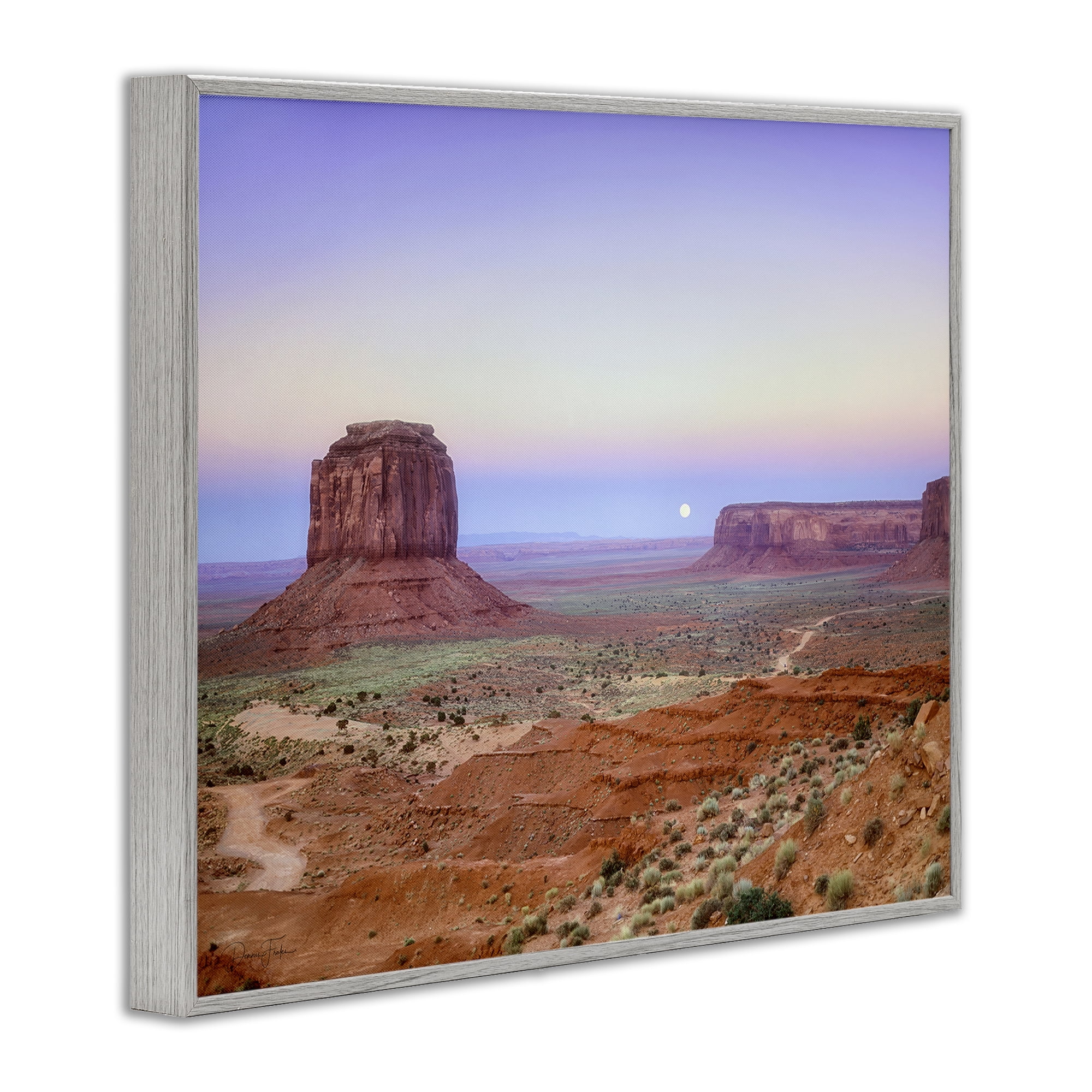 Stupell Industries Moonrise Over Monument Valley Gray Framed Giclee Art, design by Dennis Frates
