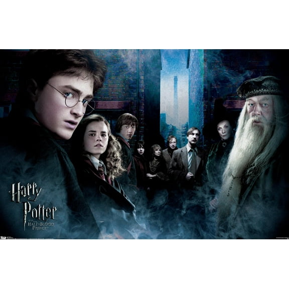 Harry Potter and the Half-Blood Prince - Fraternity Wall Poster, 22.375" x 34"