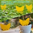 thumbnail image 6 of KKmoon 50Pcs Sticky Bug Trap Dual-sided Sticky Flying Insect Traps Indoor Outdoor House Plants Fly Paper for Fruit Fly Fungus Gnat Thrip, 6 of 6