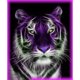 thumbnail image 1 of Taladro de pintura de diamante (DE6230) 5D DIY Tiger Full Round Rhinestone Art K129 40x50cm FLhrweasw Nuevo, 1 of 1