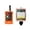 DC12 2T1R, variant on 4 Button Key Single Speed DC 12V-24V Hoist Wireless Industrial Remote Control Ip67 Waterproof Overhead Crane Truck ,Quick Response