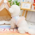 thumbnail image 2 of Adorable Pet Clothes for Cats & Small Dogs - Charming Spring & Autumn Wear, 2 of 2