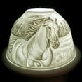 thumbnail image 1 of Chevaux dans les Prairies Lumière, 1 of 1