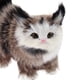 thumbnail image 5 of Gato artificial de peluche para manualidades, espécimen de gato para el hogar, sala de estar (ceniza negra) Ehuebsd  libre de BPA, 5 of 7