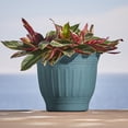 thumbnail image 3 of Bloem Colonnade Wood Resin Planter 16 in. Forest Green, 3 of 4