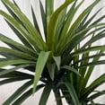 thumbnail image 4 of Artificial Tree, Simulation Potted Plants Tall Fake Green Plant with Pot, 4 of 7