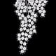 thumbnail image 3 of Apliques Uva Blanca 39 Pulgadas Zulema, 3 of 8