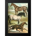 thumbnail image 2 of Johnson, Henry J. 11x14 Black Modern Framed Museum Art Print Titled - Johnsons Horse Breeds I, 2 of 5