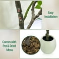 thumbnail image 3 of QinaQin Artificial Flower Tree Artificial Potted Interior Large Fruit, Suitable, 3 of 8