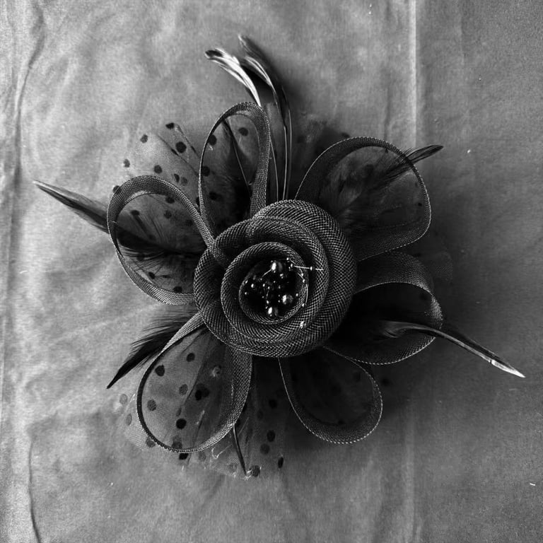 Vintage Fascinator Headband with Feathers & Mesh, Women Hair  display picture 3