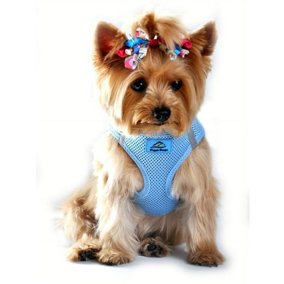 Doggie Design American River Ultra Choke Free Dog Harness Light Blue / 3XL