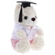 thumbnail image 4 of BRIGHTFUFU Doctor Bear Graduación de animales de peluche Bear Muñeca Soft Bear Doll para la temporada de graduación Presente 2025 Favores de fiesta de graduación y accesorios fotográficos Rosa blanco, 4 of 7