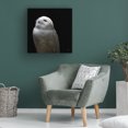 thumbnail image 4 of Nathan Larson 'Snowy Owl Looks to the Sun' Canvas Art, 4 of 4