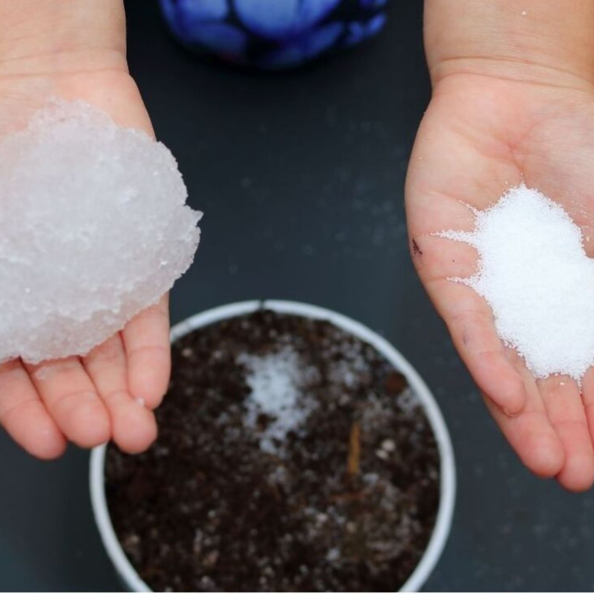 Water Storing Crystals - for Indoor & Outdoor Plants - Mix Crystals with Soil to Reduce The Amount of Watering Needed - Protect Against Heat - Watch Your Garden & Plant Grow (3LB)