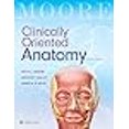 thumbnail image 3 of Clinically Oriented Anatomy, 3 of 4