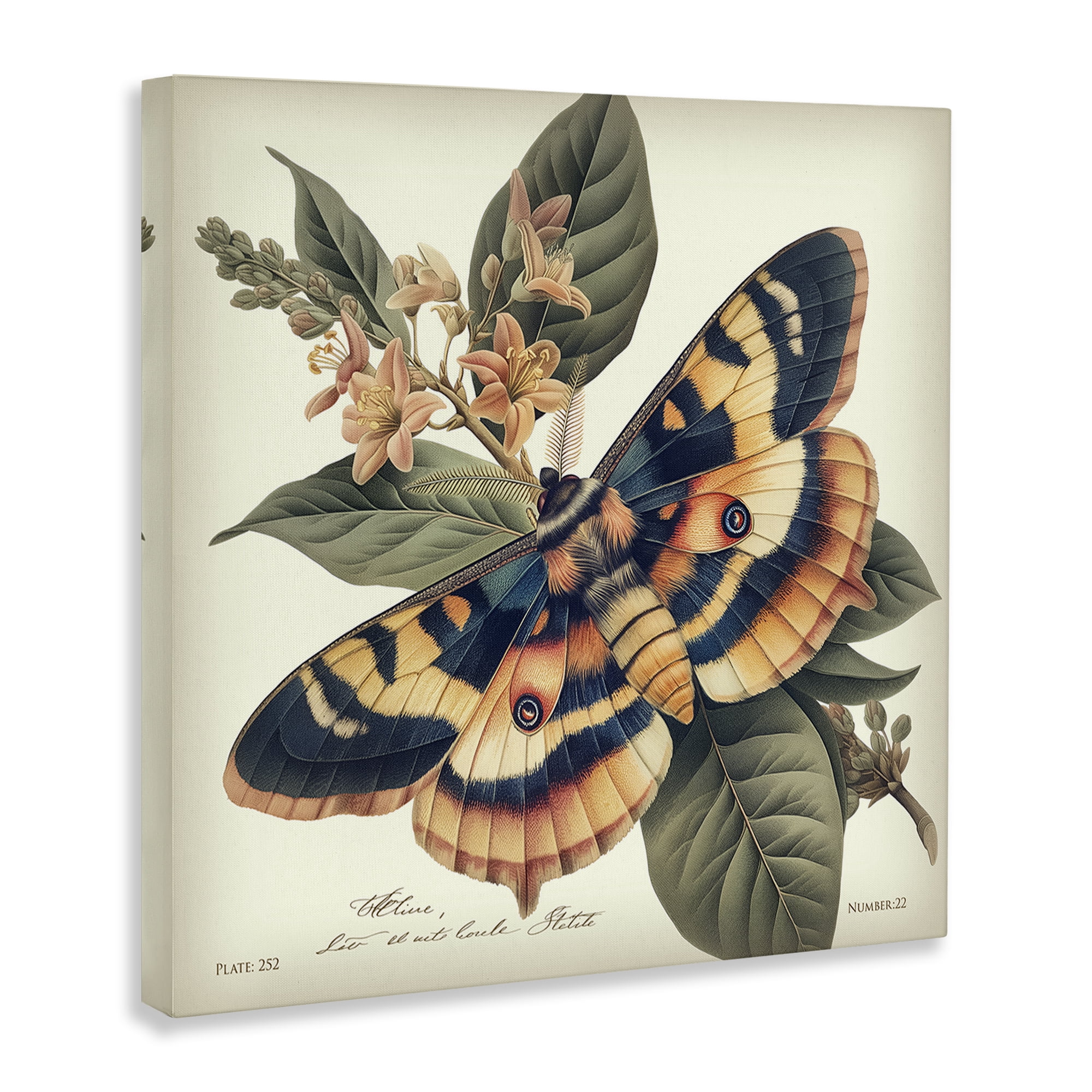 Stupell Industries Detailed Moth & Lilies Animals Painting Wrapped Canvas Art Print Wall Art, 17 x 17